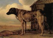 POTTER, Paulus Watchdog china oil painting reproduction